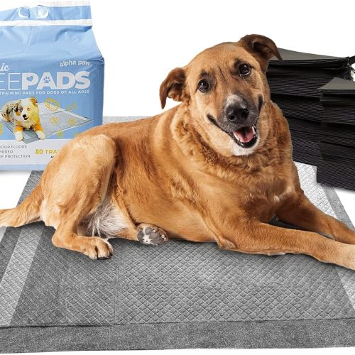 Magic Pee Pads XL