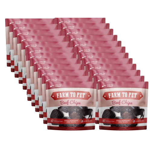 Beef Chips Snack Pack Twenty Four Pack 659725