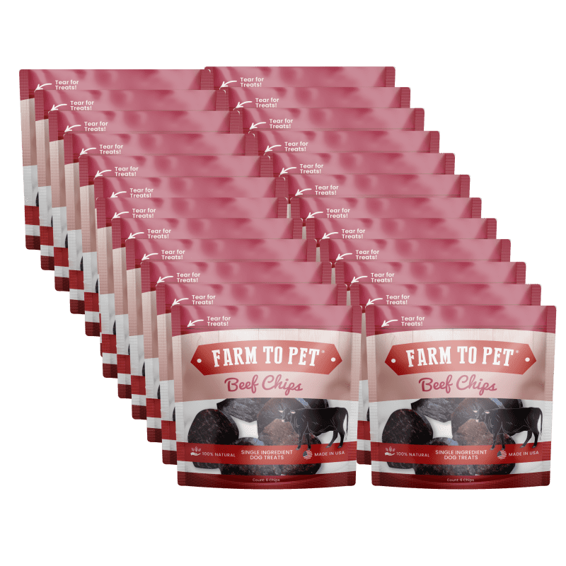 Beef Chips Snack Pack Twenty Four Pack 659725