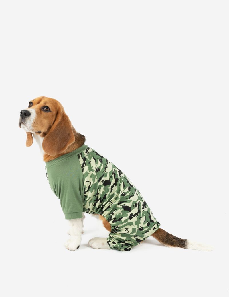 Dog Camouflage 2web 2cfbb892 987c 43c1 bd50 a037f229e712