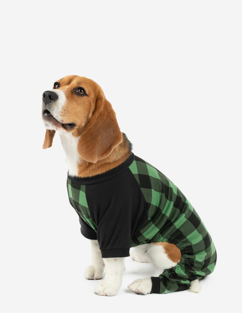 Dog PLDBlackGreen 3web b04de6fd fae0 486b 932c d8c49e9c88f0