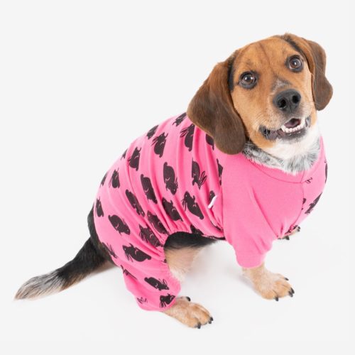 Dog PinkBunny 2web 742ab997 bbe8 4734 a593 3fb1a45bd6ef