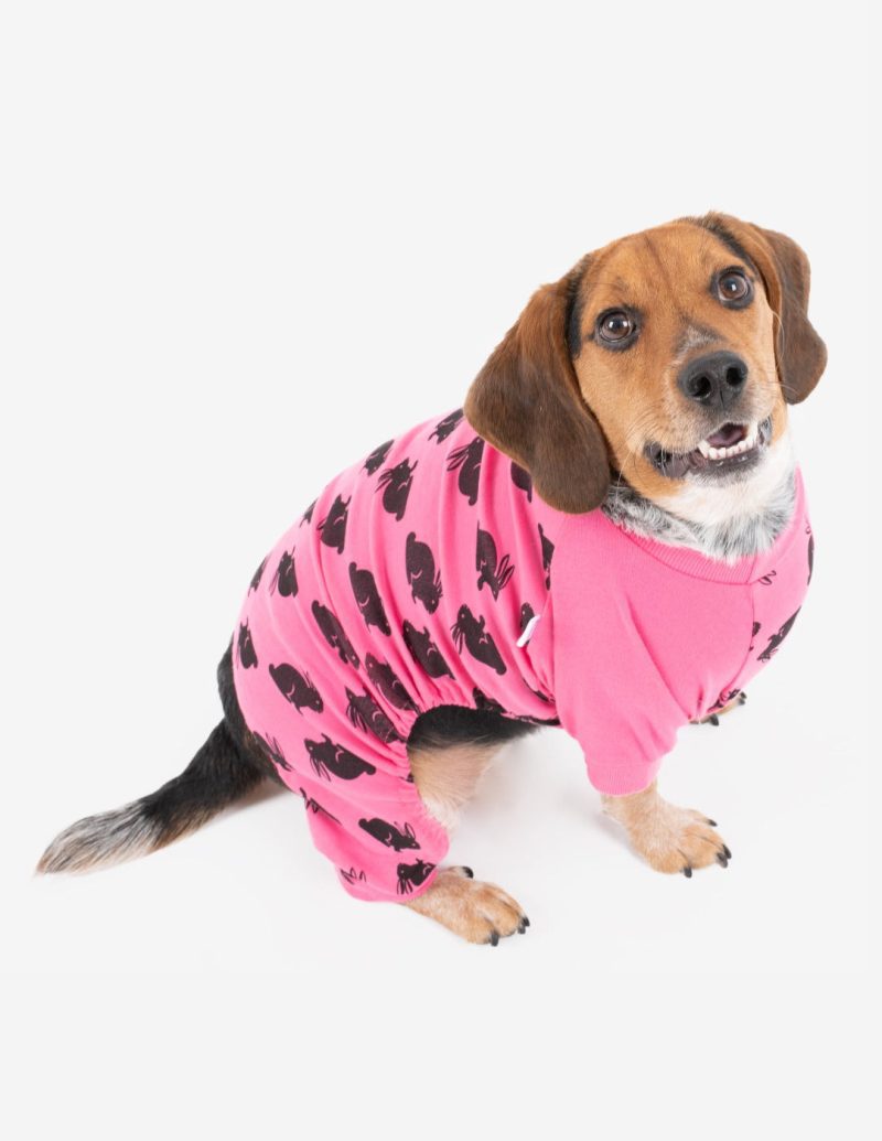 Dog PinkBunny 2web 742ab997 bbe8 4734 a593 3fb1a45bd6ef