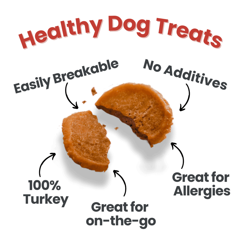 HealthyDogTreats e57bee1a 924e 4980 9388 a05d6574c86c 527975