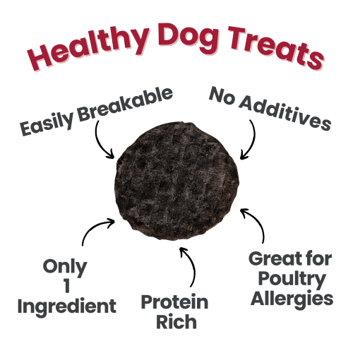 Healthy Dog Treats