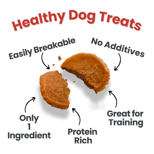 Healthy Dog Treats 2 475141