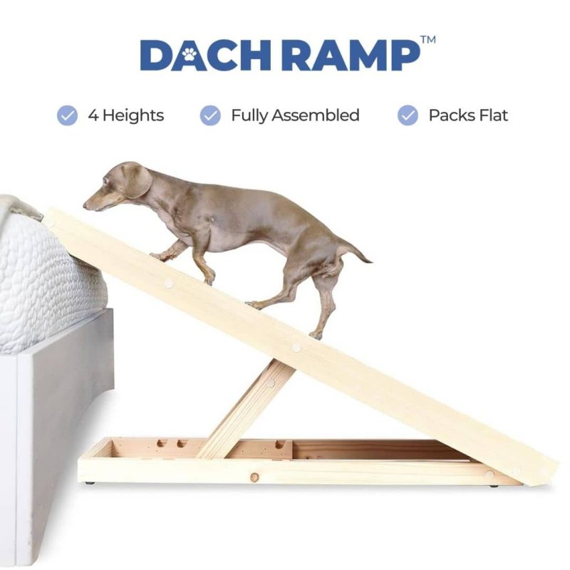 TheDachramp