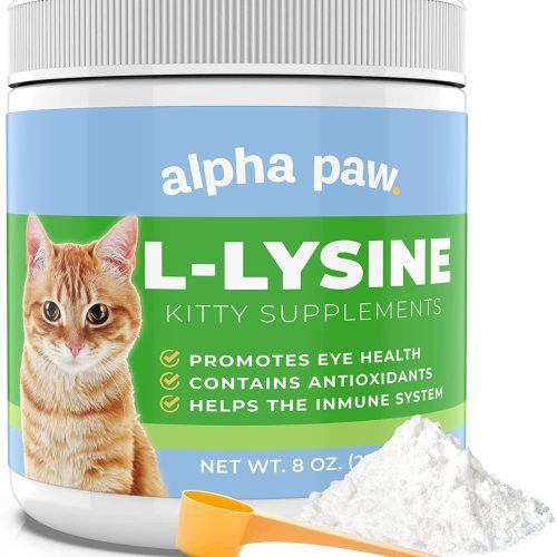 cat l lysine alpha paw 1