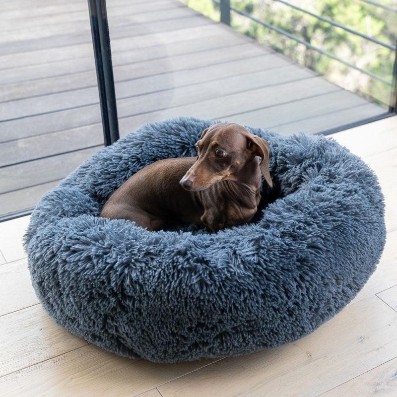 cozy calmingtm bed for dogs alpha paw 8