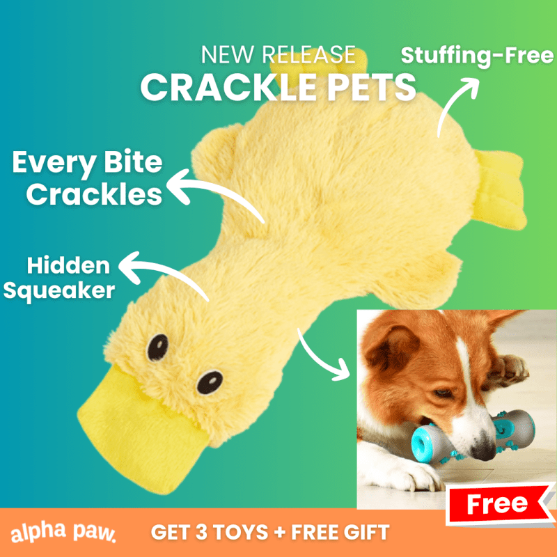 crackle pets 1