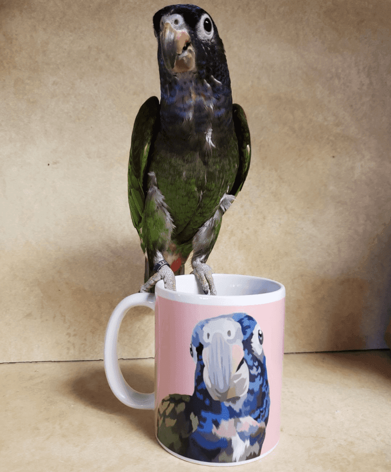 custom pet coffee mug alpha paw 2