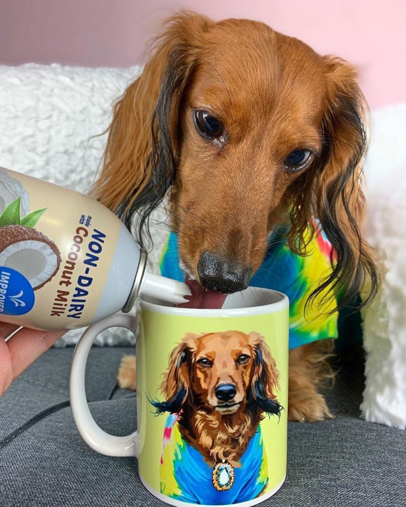 custom pet coffee mug alpha paw 3