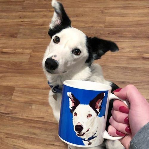 custom pet coffee mug alpha paw 5