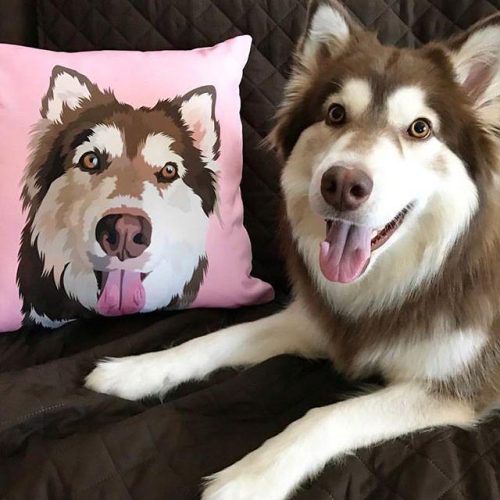 custom pet couch pillow with cover alpha paw 1