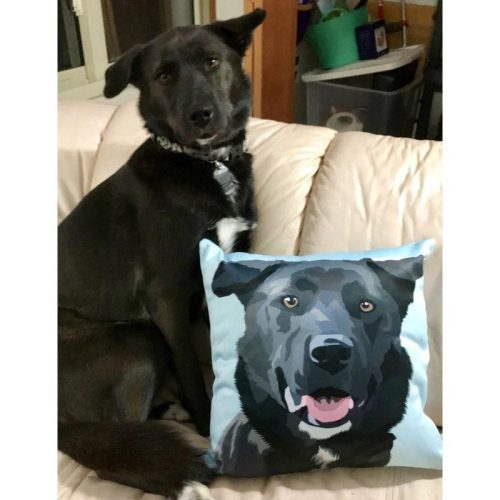 custom pet couch pillow with cover alpha paw 10