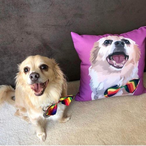 custom pet couch pillow with cover alpha paw 4