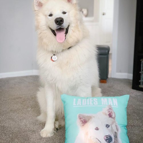 custom pet couch pillow with cover alpha paw 7