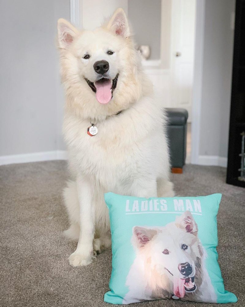 custom pet couch pillow with cover alpha paw 7