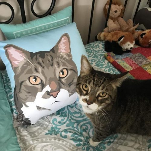 custom pet couch pillow with cover alpha paw 9