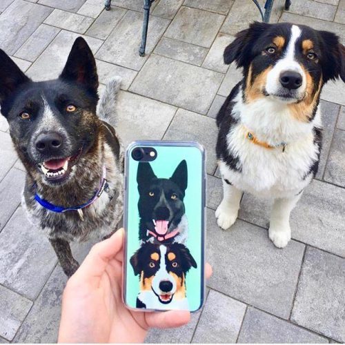 custom pet phone case original alpha paw 13