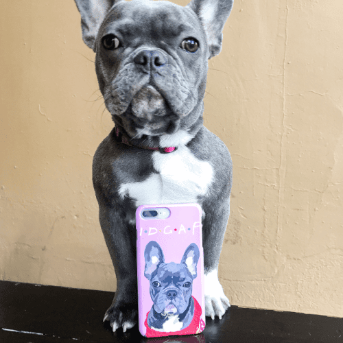 custom pet snap case alpha paw 10