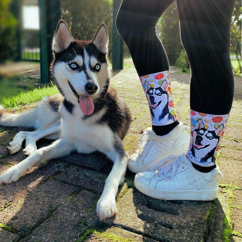 custom pet socks alpha paw 3