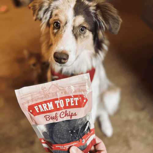 farmtopetsingleingredientbeefchipsfordogs 835729