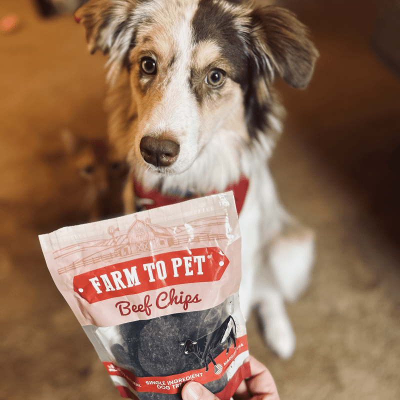 farmtopetsingleingredientbeefchipsfordogs 835729