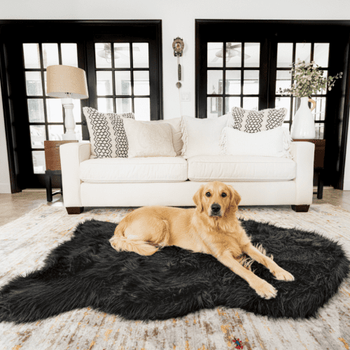 goldenretrieverlargebed 593447