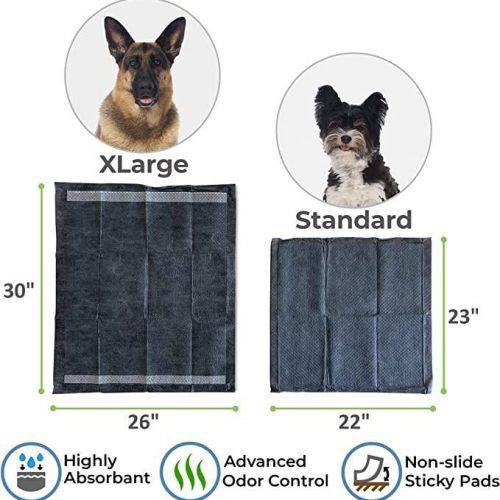 magic pee pads alpha paw 8