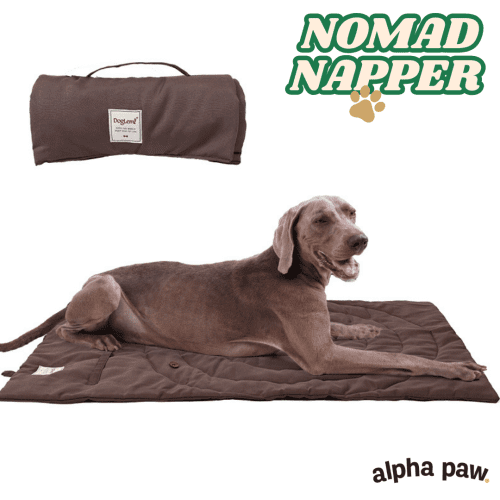 nomad napper1