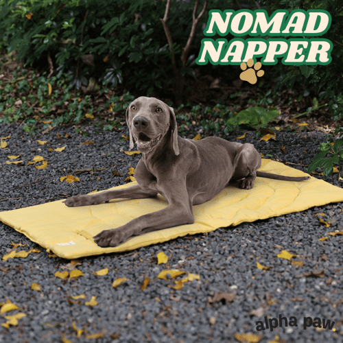 nomad napper2