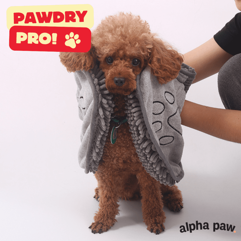 pawdry1