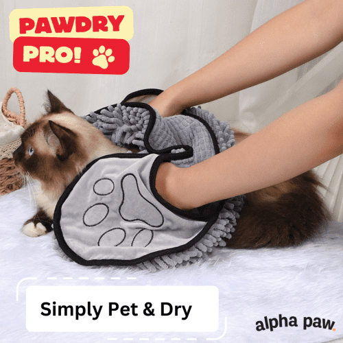 pawdry6