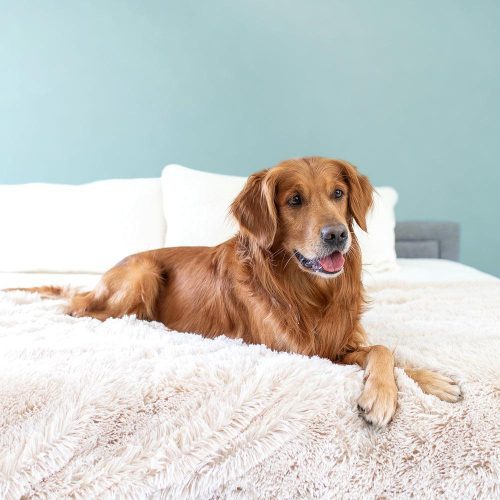 PawProof™ Throw Blanket | Alpha Paw