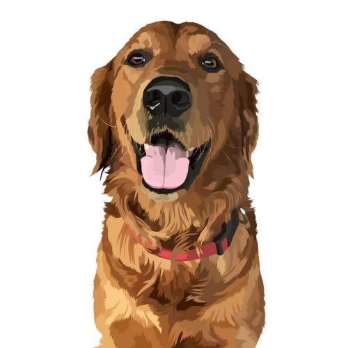 personalized pet art digital alpha paw 2