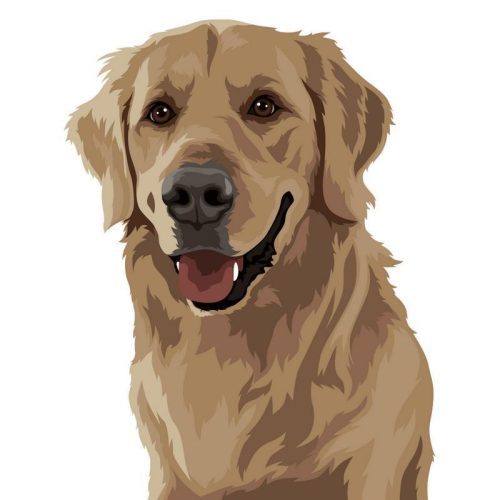 personalized pet art digital alpha paw 4