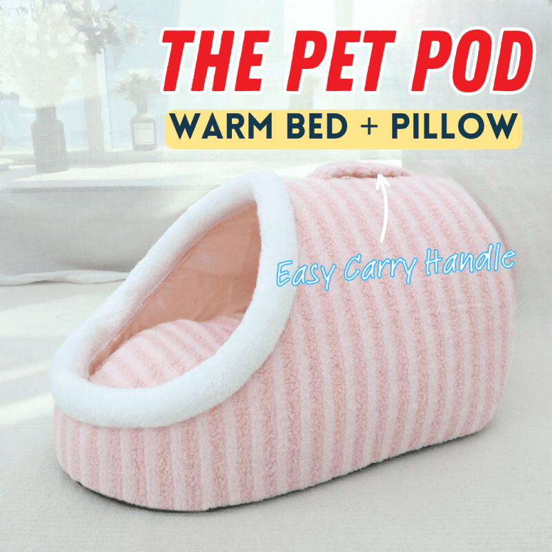 pet pod 2