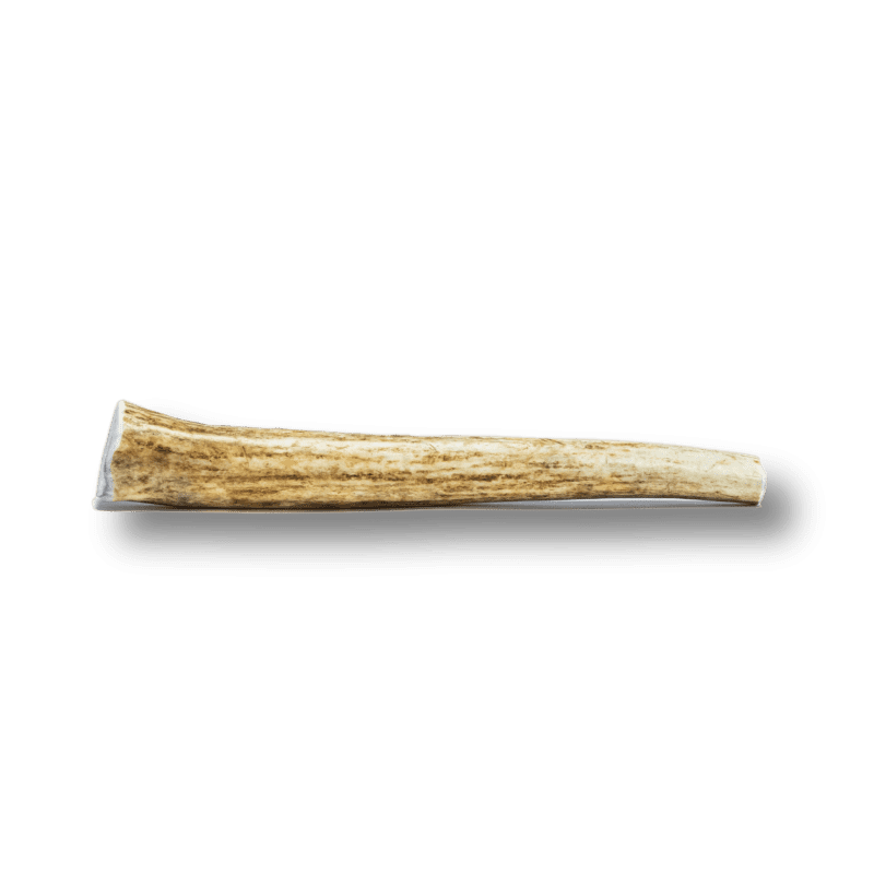 whole elk antlers for dogs 949763